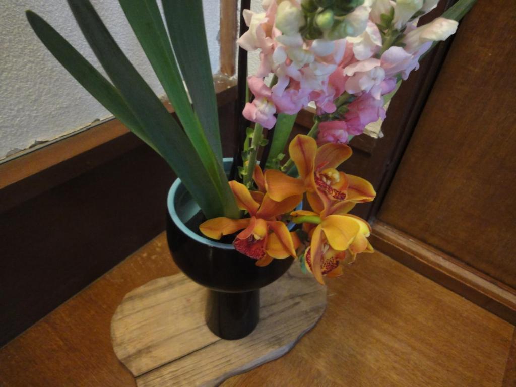 Kinreisou Hotel Hakone Kültér fotó